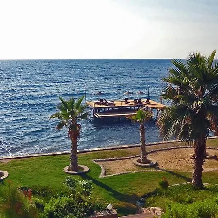 Havuzlu